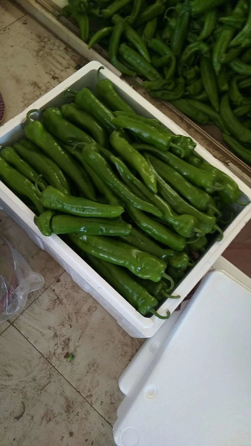 好尖椒