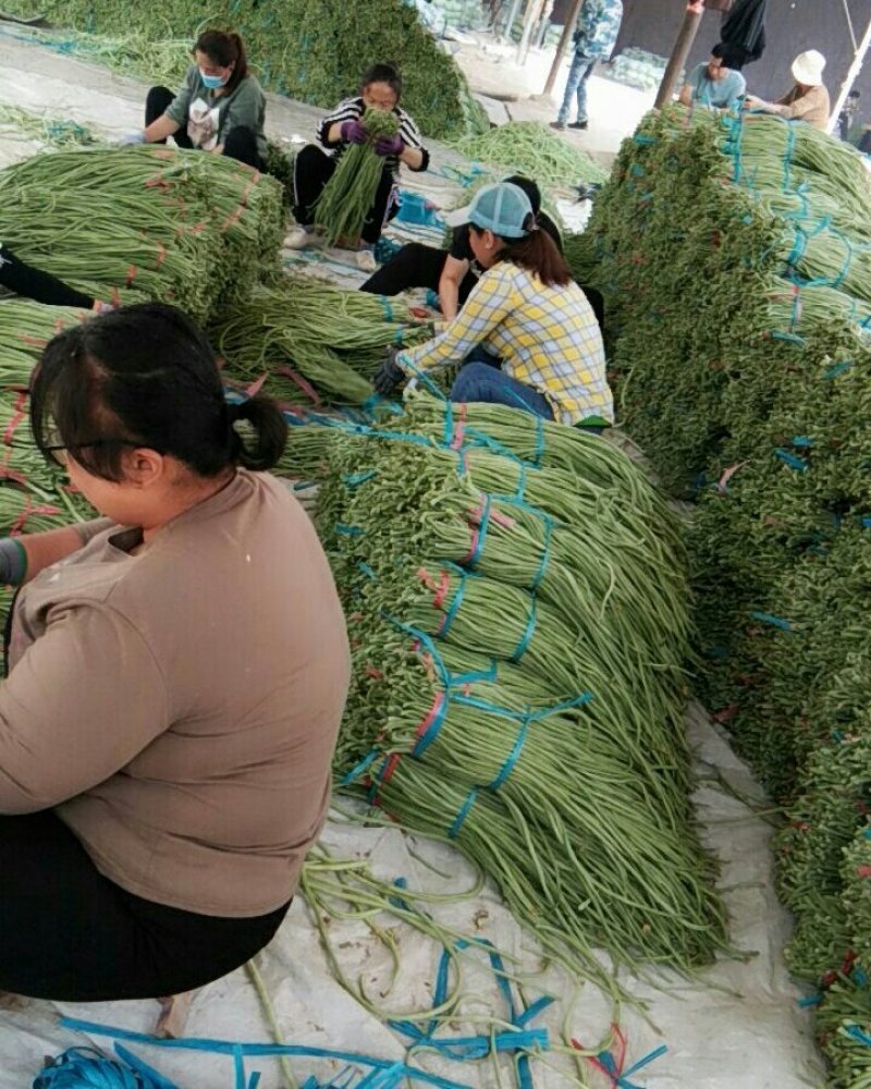 长豆角