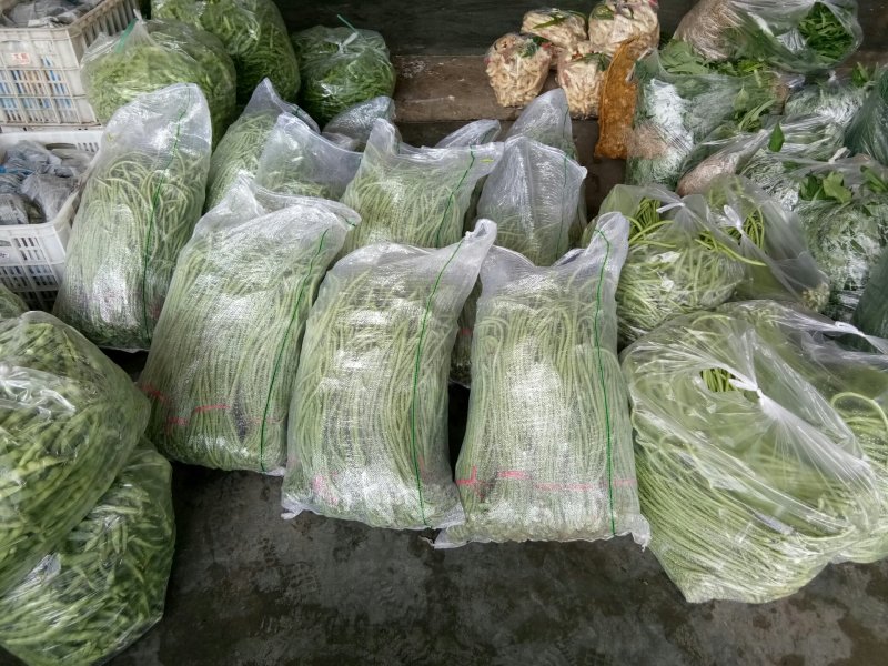 豇豆（新鲜豇豆现货）
