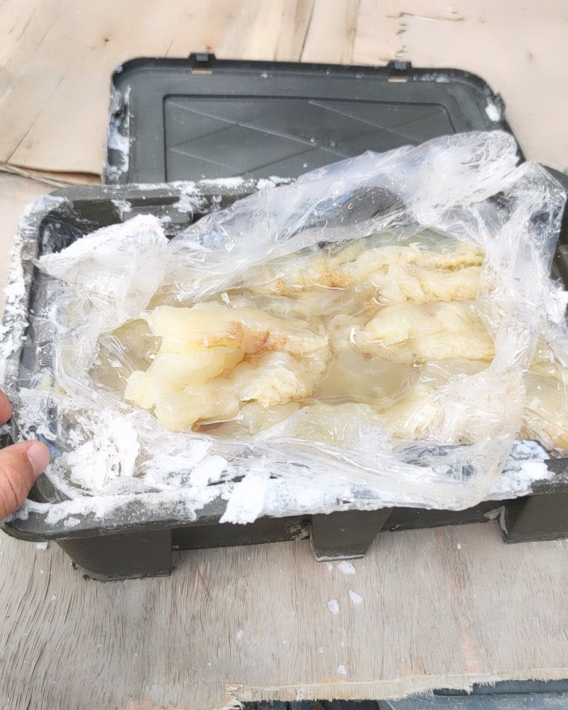 海蜇厂家直供