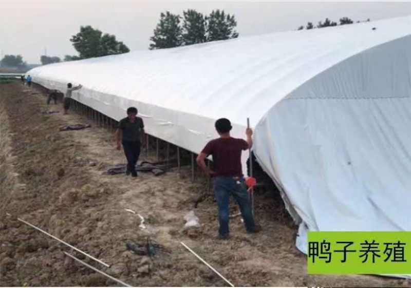 成套大棚养殖大棚种植大棚专业制造画图设计