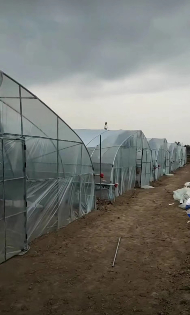 成套大棚养殖大棚种植大棚专业制造画图设计