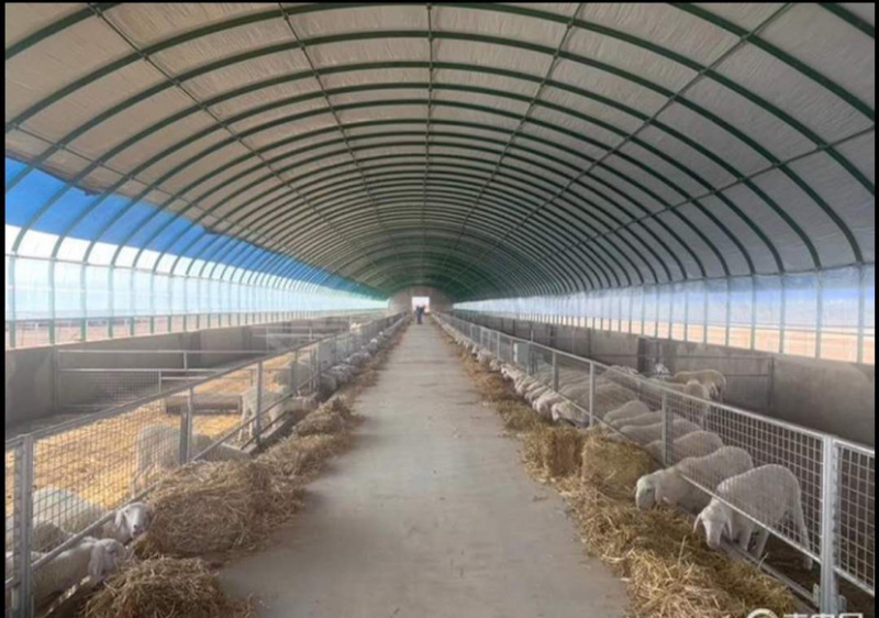 成套大棚养殖大棚种植大棚专业制造画图设计