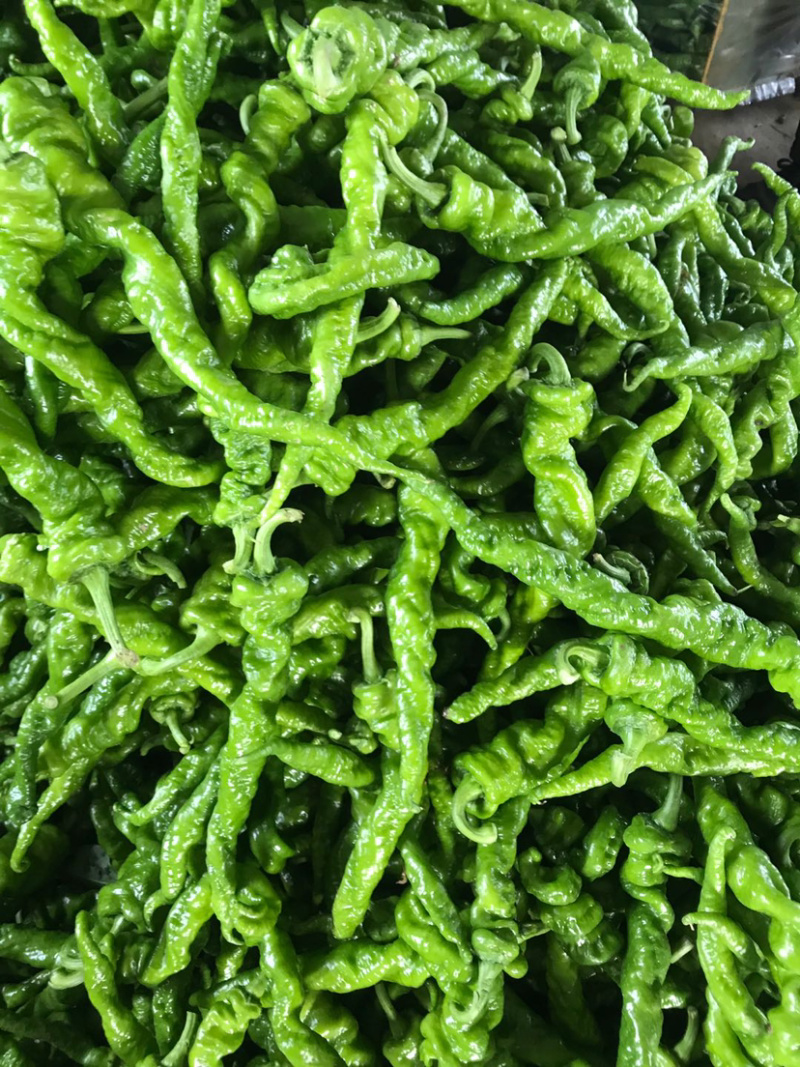 螺丝椒