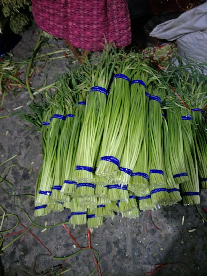 专业储存金乡蒜薹冷库代收代存代加工~专业蒜薹