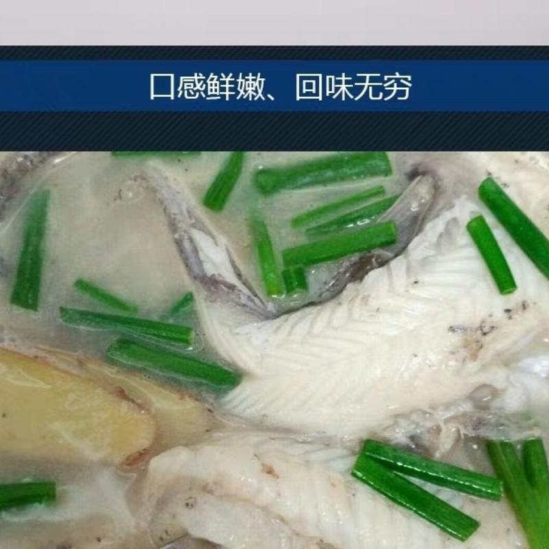 码头直供新鲜大豆腐鱼龙头鱼水潺鱼九肚鱼丝丁鱼