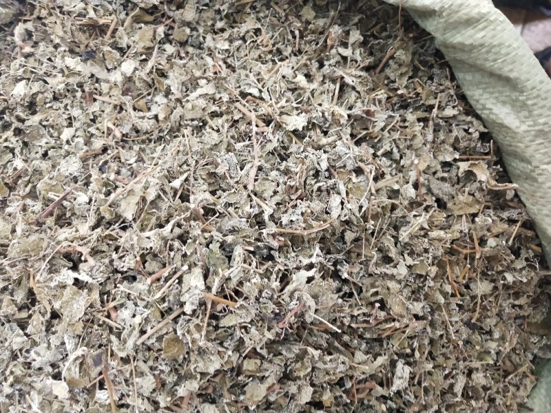 藤茶，溪黄茶，莓茶、端午茶、藤婆茶（又称山甜茶、龙须茶