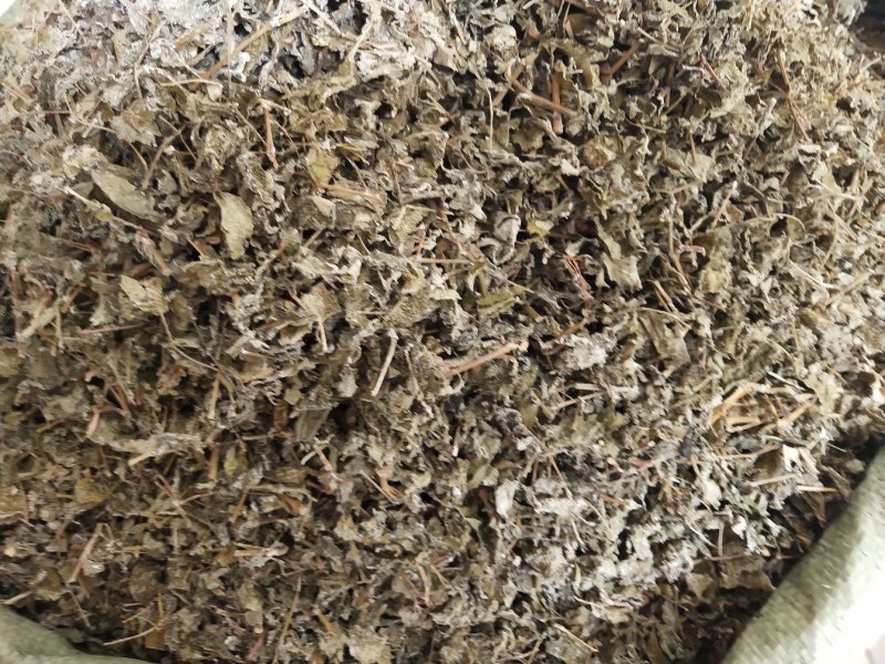 藤茶，溪黄茶，莓茶、端午茶、藤婆茶（又称山甜茶、龙须茶