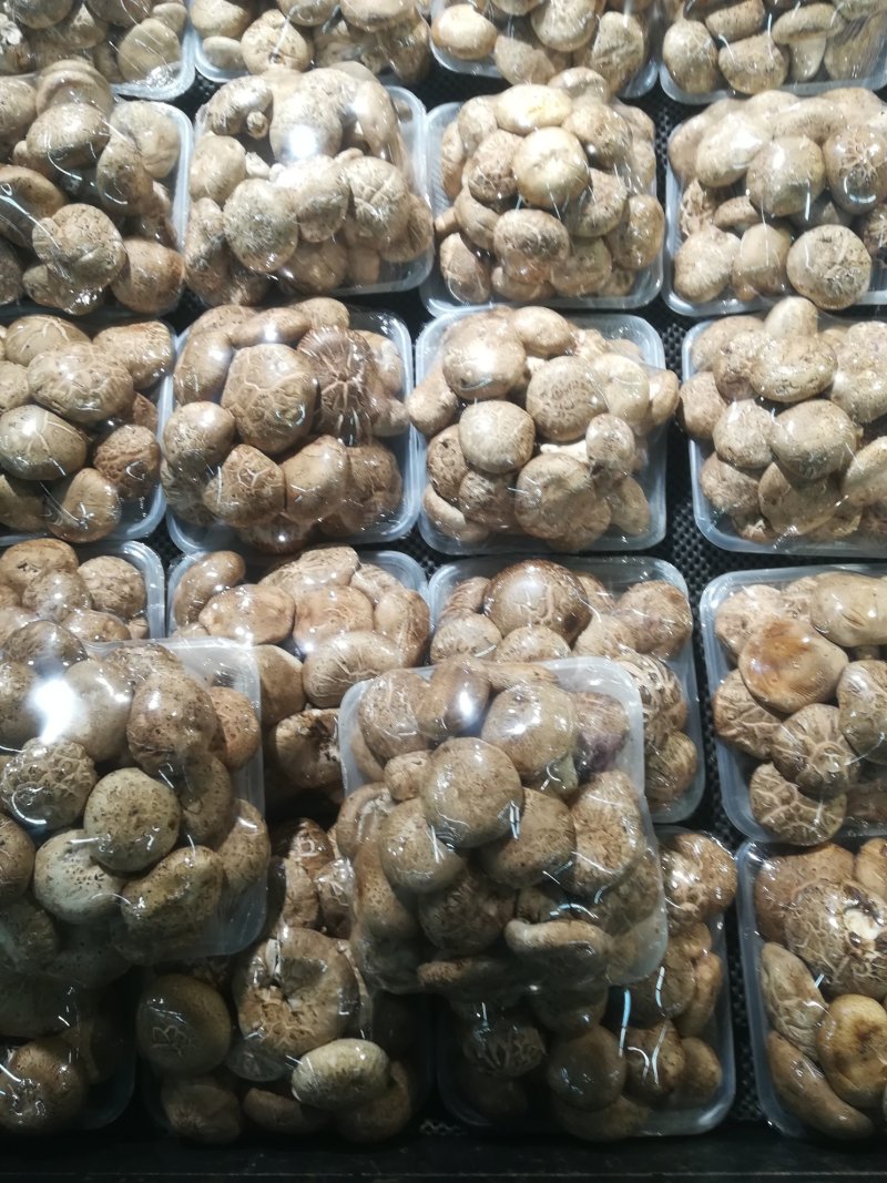 鲜香菇