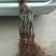 甜蜜蓝宝石葡萄苗阳光十三包妮娜皇后包品种死苗补发