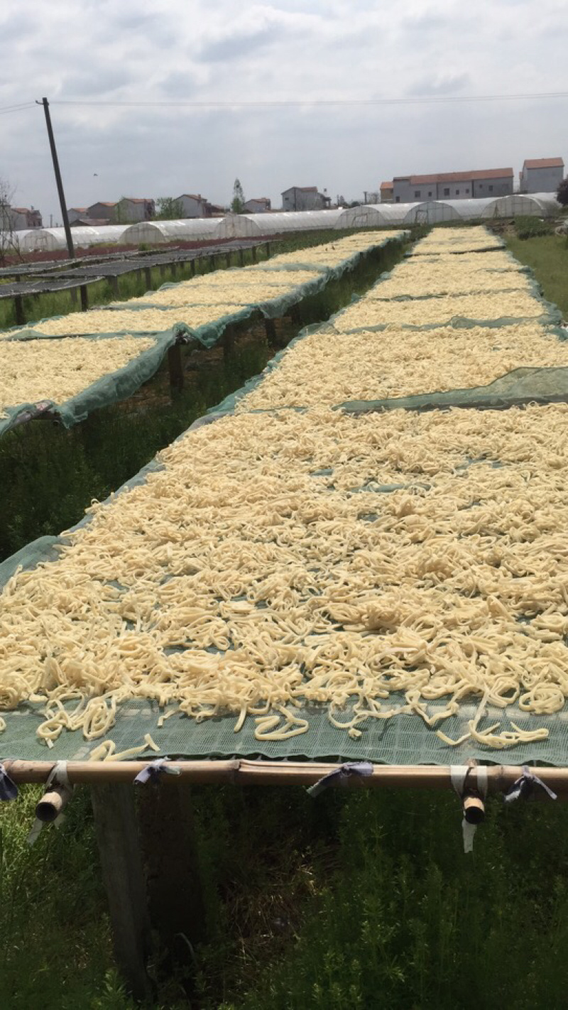 豆丝巜黄豆、绿豆、各种杂粮豆丝〉
