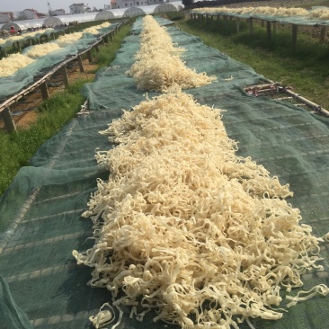 豆丝巜黄豆、绿豆、各种杂粮豆丝〉