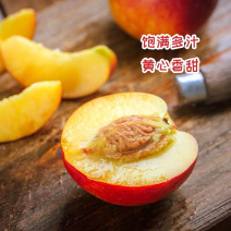【牛商推荐】中油四号大量上市油桃基地直发货源充足