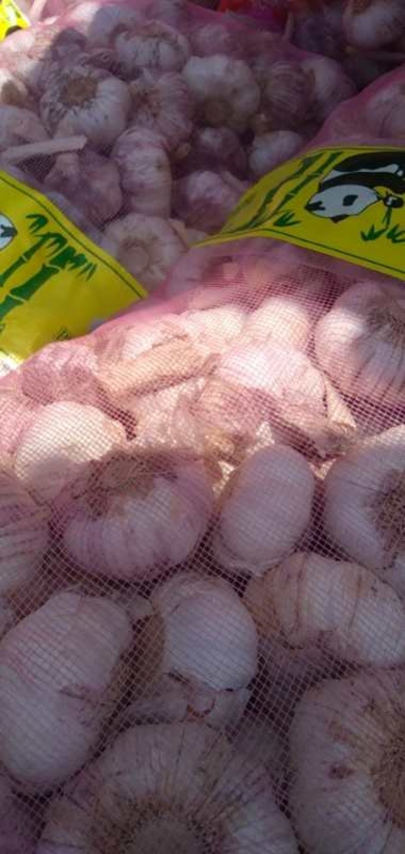 郑州中牟精品大蒜供应