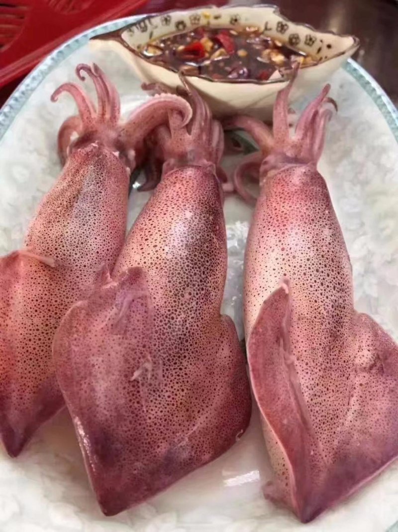 东山小管活小管小鱿鱼鲜甜爽脆