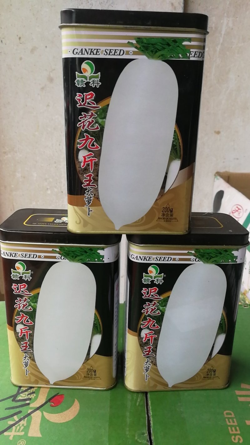 迟花九斤王大萝卜种晚熟品种具有丰产抗病特性。