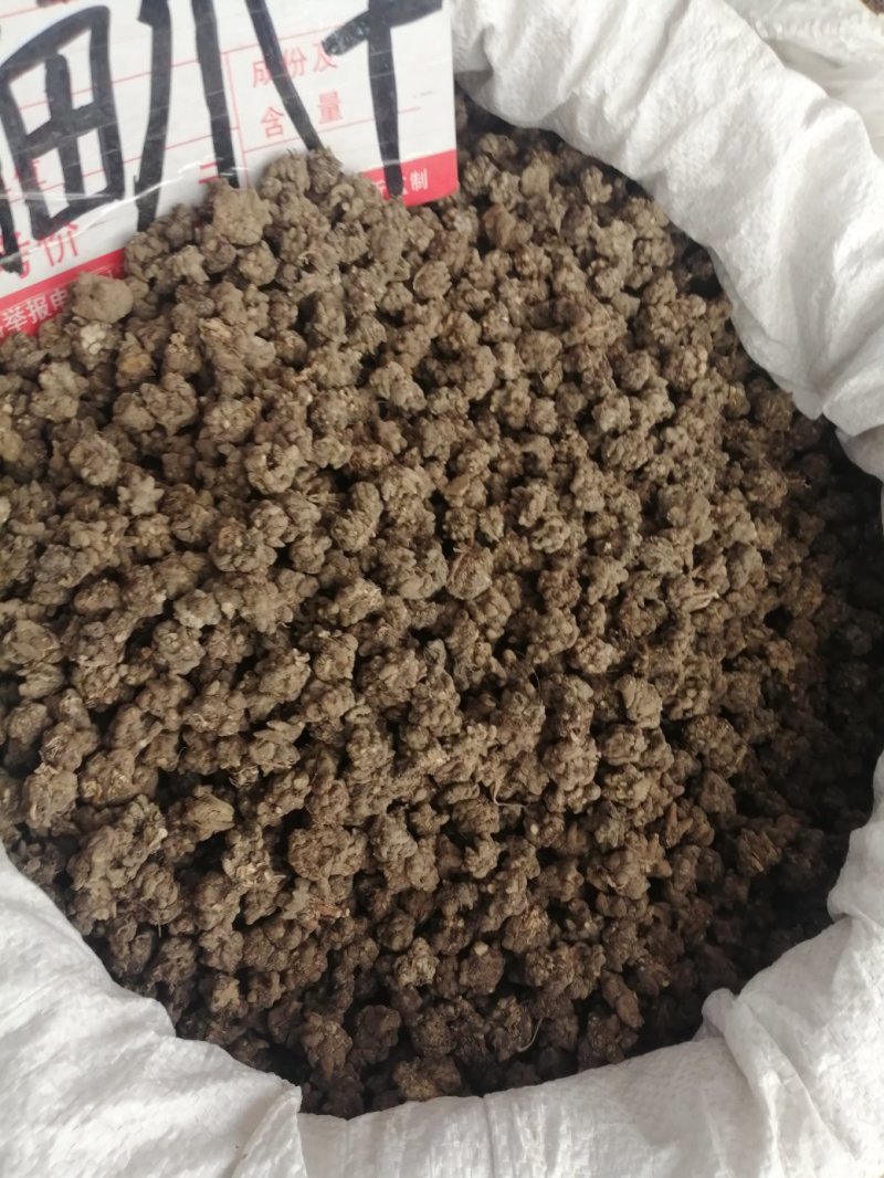 猫爪草，水洗和不水洗猫爪草，大中小均有现货供应