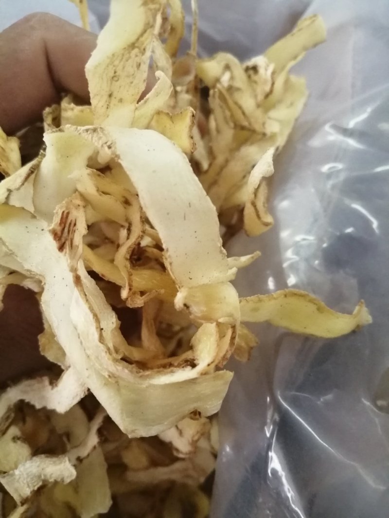 玉竹，玉竹片，大中小片湘玉竹，无硫产品，现货供应