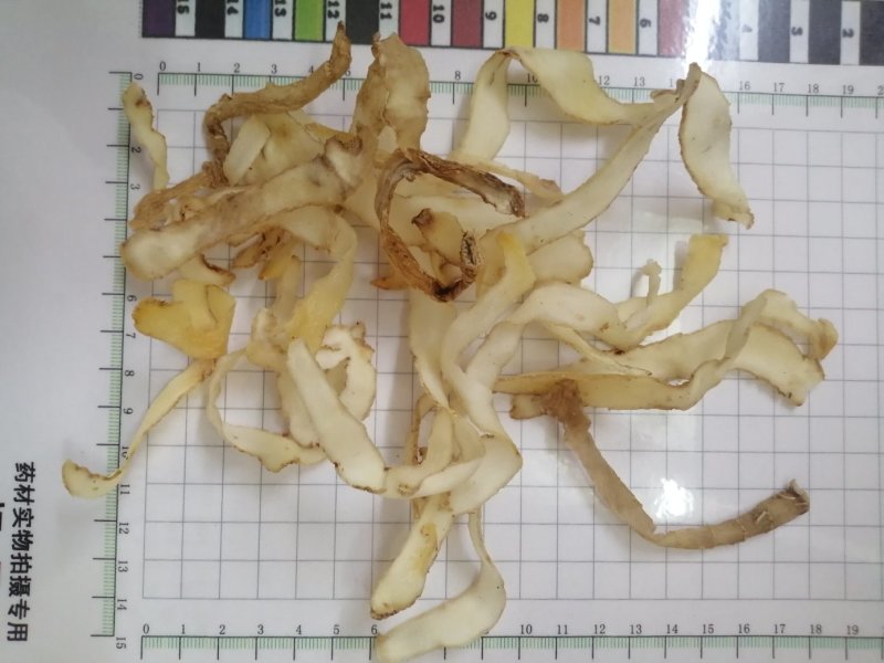 玉竹，玉竹片，大中小片湘玉竹，无硫产品，现货供应
