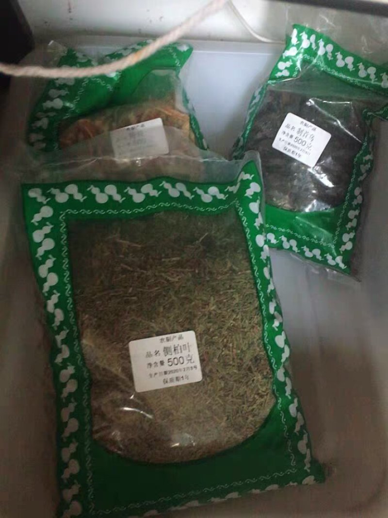 中药材侧柏叶新鲜侧柏叶发干