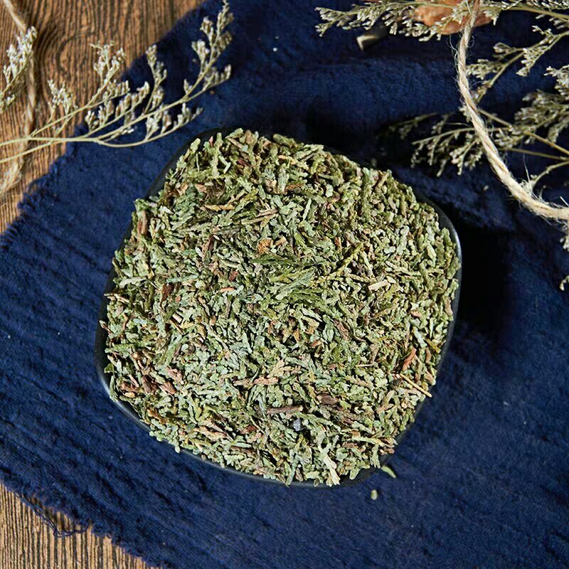 中药材侧柏叶新鲜侧柏叶发干