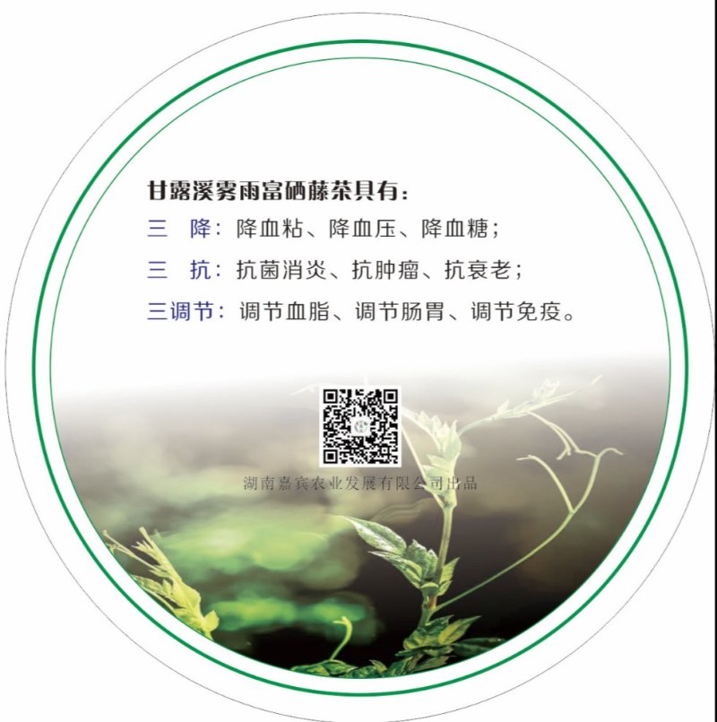 甘露溪雾雨藤茶