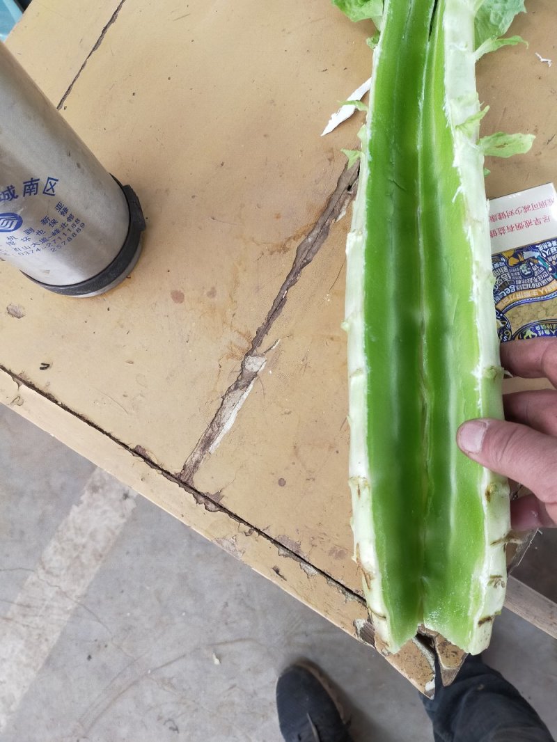 莴笋杆，青皮青肉，无空心，无病斑，支持各种包装