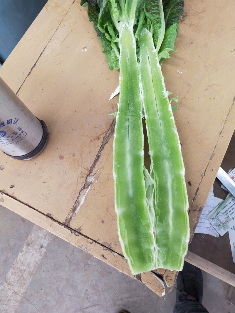 莴笋杆，青皮青肉，无空心，无病斑，支持各种包装
