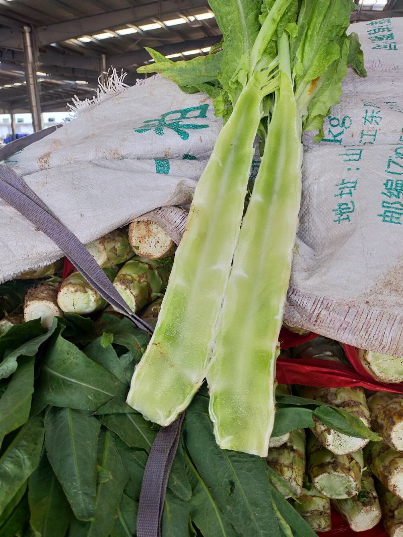 莴笋杆，青皮青肉，无空心，无病斑，支持各种包装
