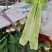 莴笋杆，青皮青肉，无空心，无病斑，支持各种包装