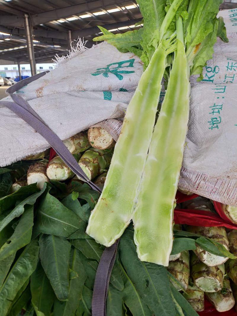 莴笋杆，青皮青肉，无空心，无病斑，支持各种包装