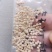 高产抗TY病毒，粉红色小番茄，圣女果种子高甜度，品质保障