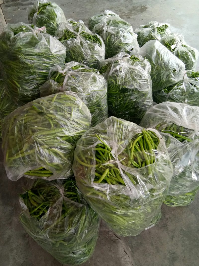 小青椒（新鲜二荆条海椒现货）