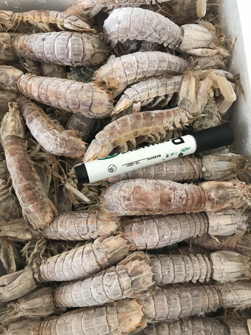 熟冻皮皮虾皮皮虾濑尿虾带膏虾爬子富贵虾