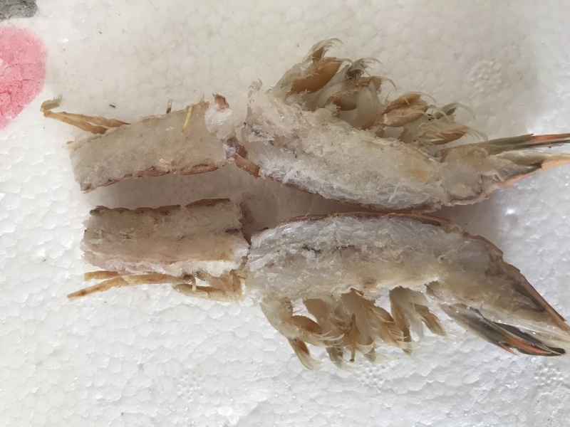 熟冻皮皮虾皮皮虾濑尿虾带膏虾爬子富贵虾