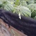 【推荐】美都西瓜皮薄汁甜当度高对接电商批发商商超欢迎来电