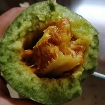 博洋9号61号产地直发质量保证量大价优欢迎来电