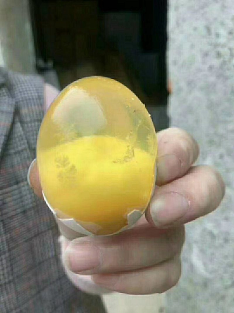 松花蛋鸡皮蛋鸭皮蛋厂家直发，一手货源，价格美丽