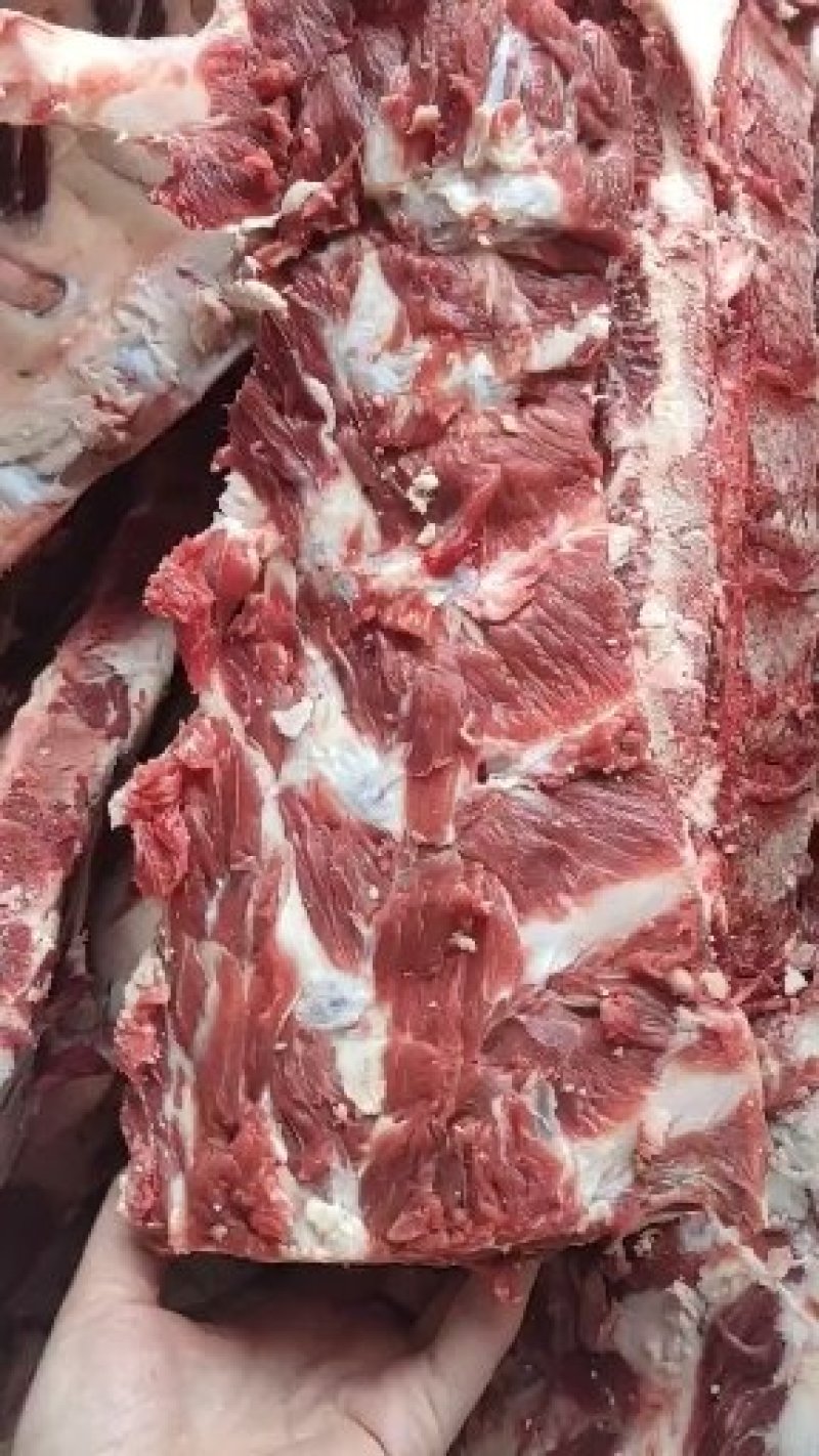 纯国产公牛脊骨，肉多鲜货现货，证件齐全可据段