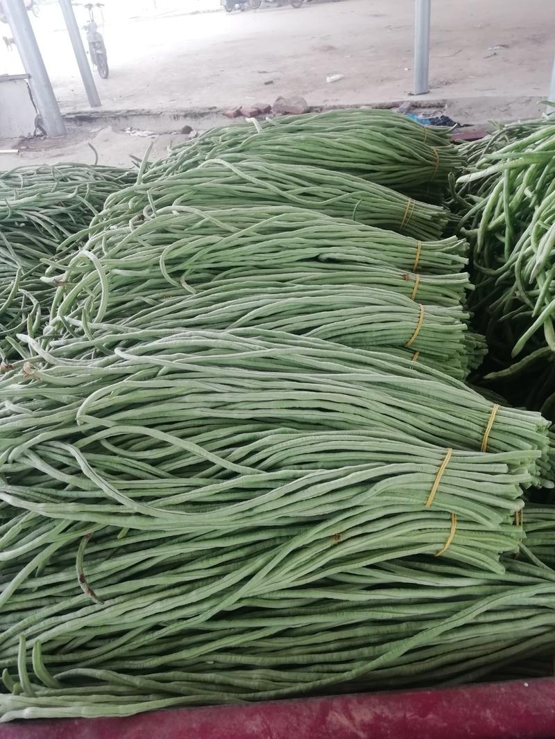 温室大棚白绿青长豇豆大量上市基地直供货发全国