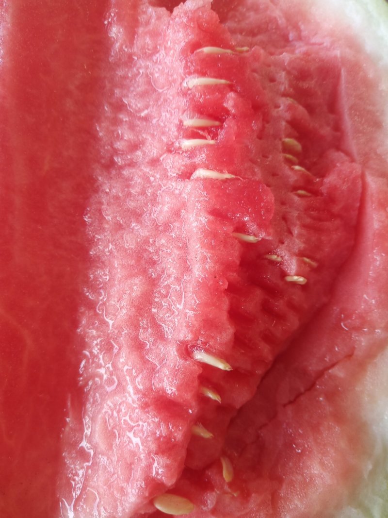 8424