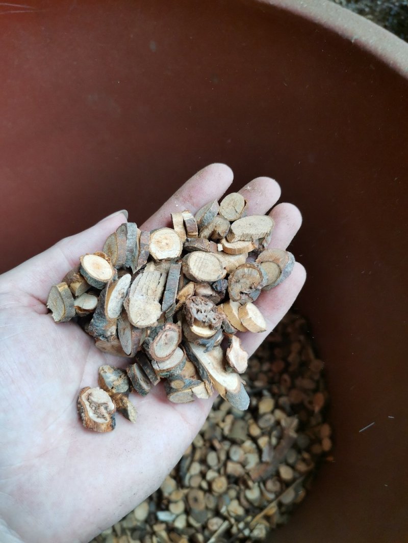 肉桂圆片陈桂圆片中药材料广西产地直销