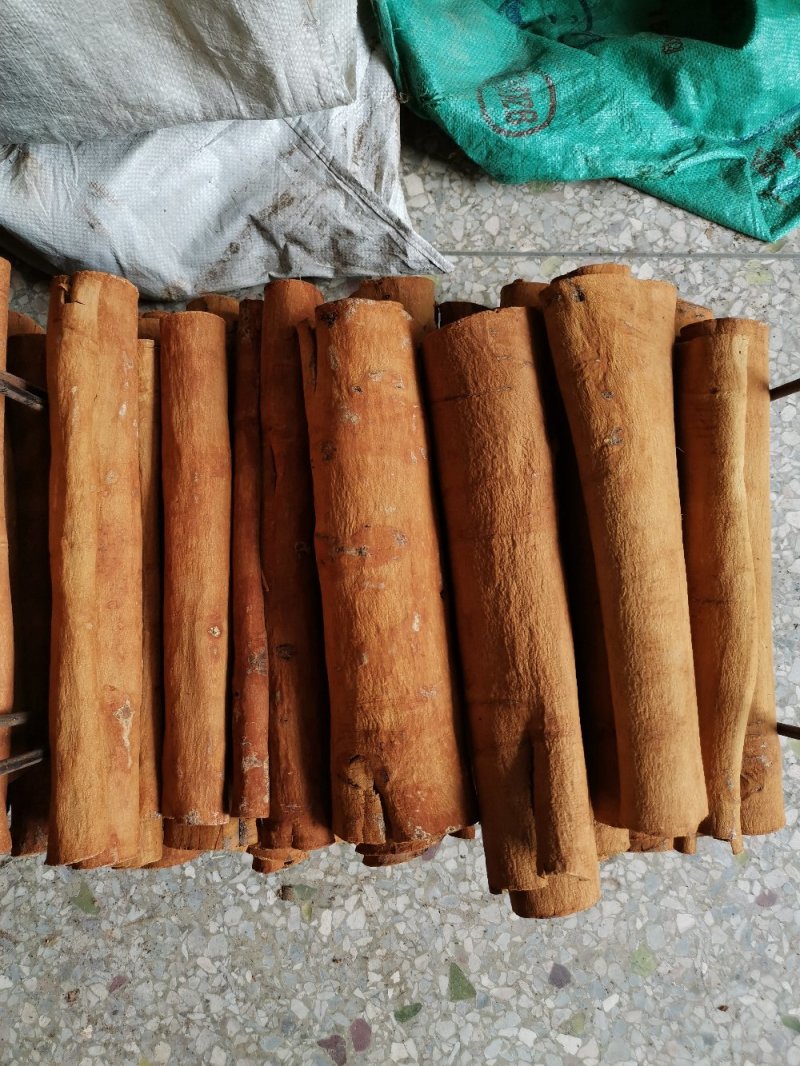 广西桂皮陈桂桂通产地直销无硫无添加