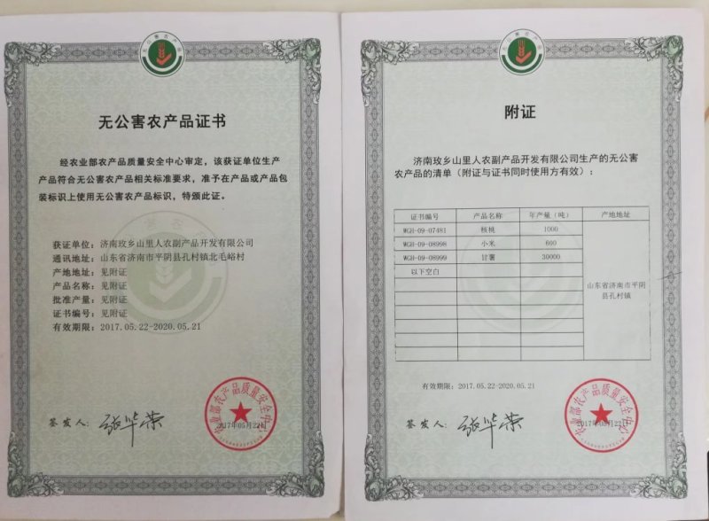 核桃油冷轧一级精炼核桃油基地直供