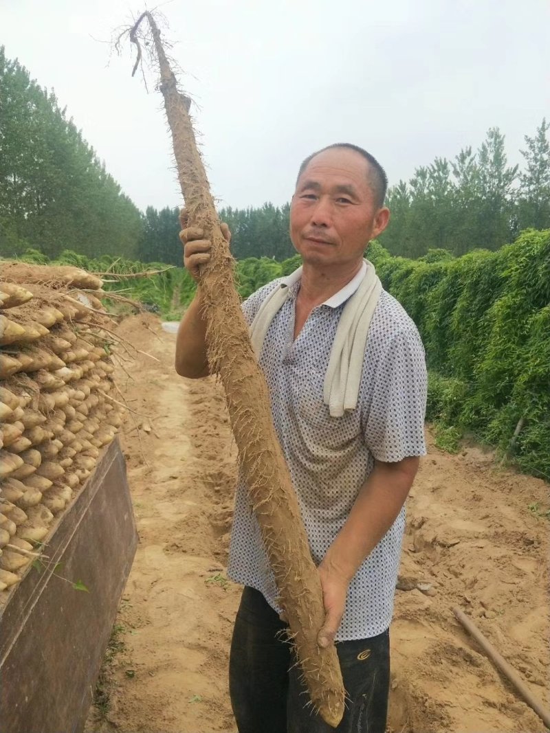 新加坡进口膨化磷酸二氢钾，适合飞防，性价比高