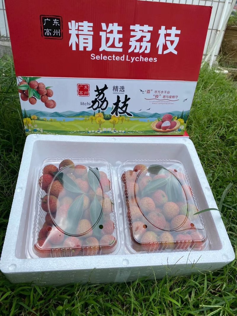 【原产地直发】荔枝鲜果高州白糖罂妃子笑非徐闻海南货