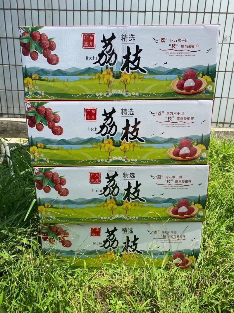 【原产地直发】荔枝鲜果高州白糖罂妃子笑非徐闻海南货