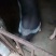 陆川猪，仔猪，小母猪，小花猪各样各种品种的
