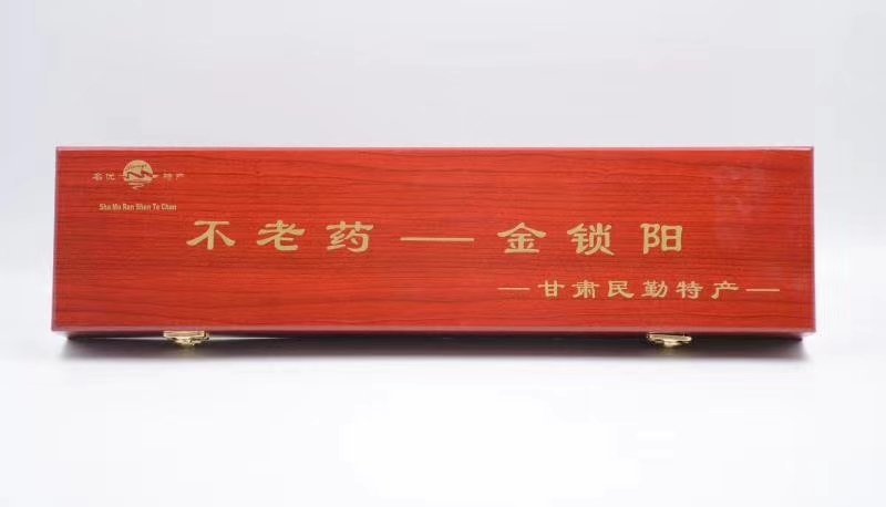 锁阳补男人，滋女人的好东西