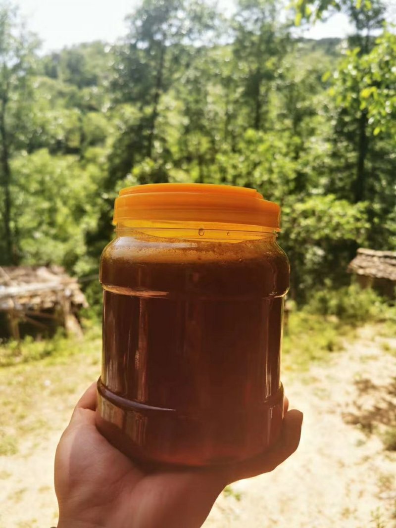 土蜂蜜大山深处的蜂蜜